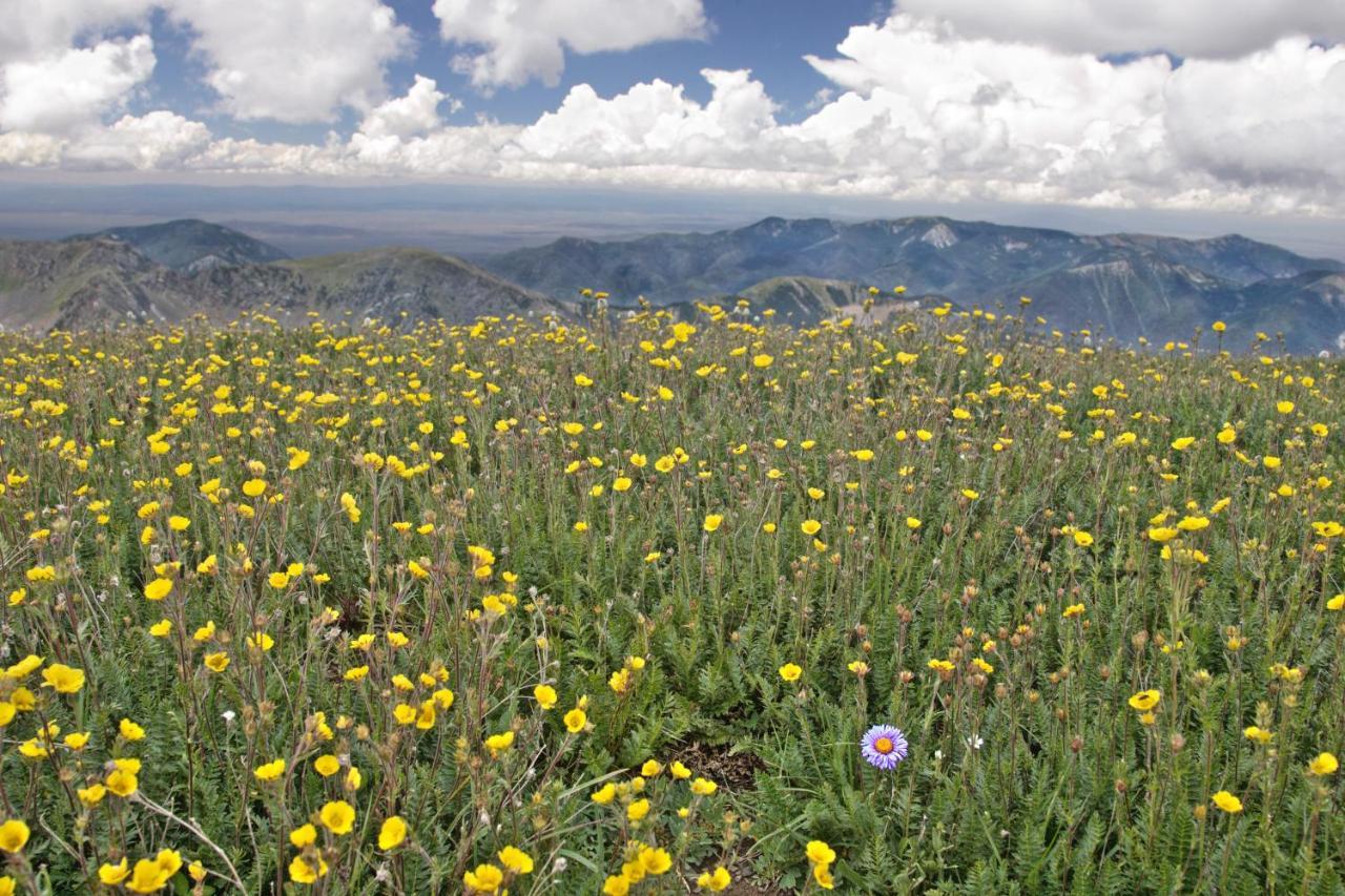 Vila Pueblo Revival Taos Exteriér fotografie